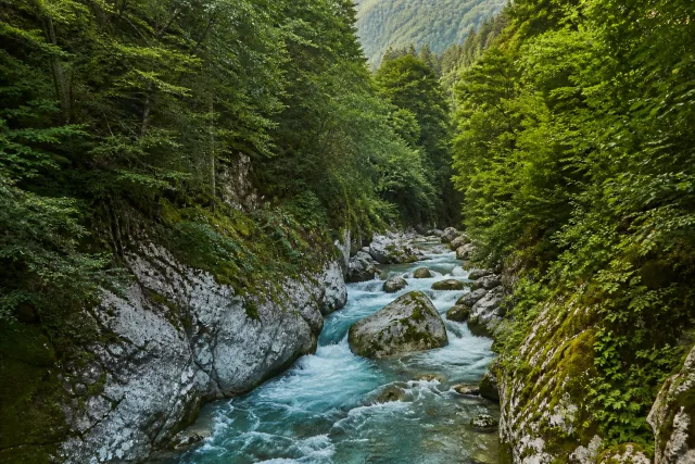 Kintrishi Protected Area