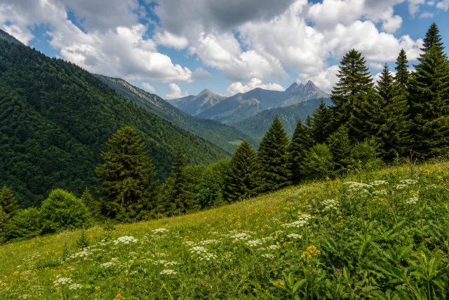 Шовский заповедник